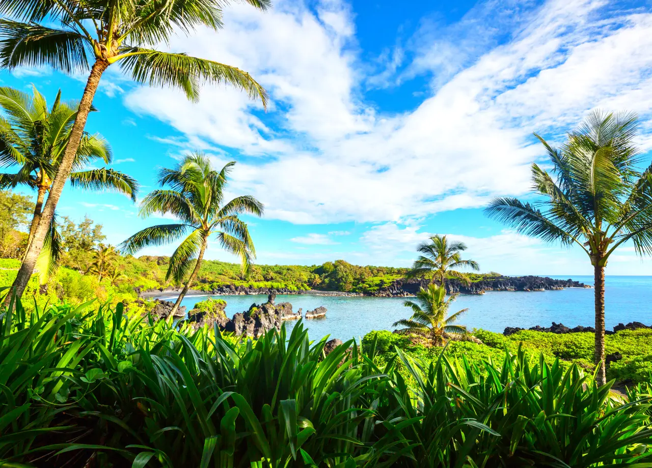 The Hawaiian Islands