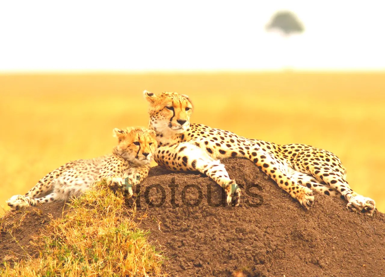 Itenary Image