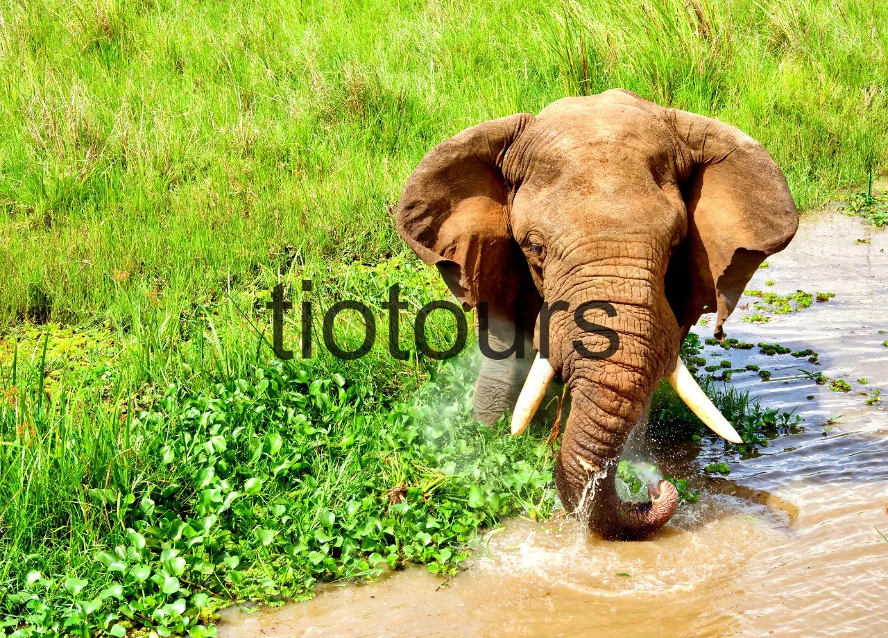 Itenary Image